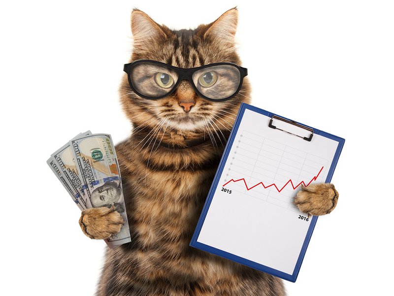 Un gato con dinero en una mano y un gráfico de crecimiento en la segunda