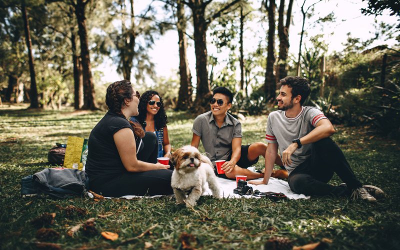 Four friends sitting in a park with a dog