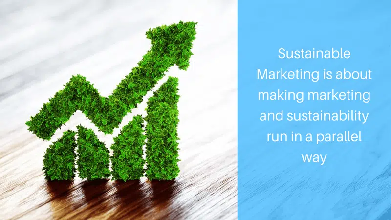 What Is Sustainable Marketing And Who Are The Key Players