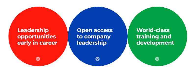 Is Consumer Non-Durables a Good Career Path for Newly Graduates? The Example shows P&G 3 pillars of leadership development.