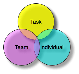 Functional leadership model. 