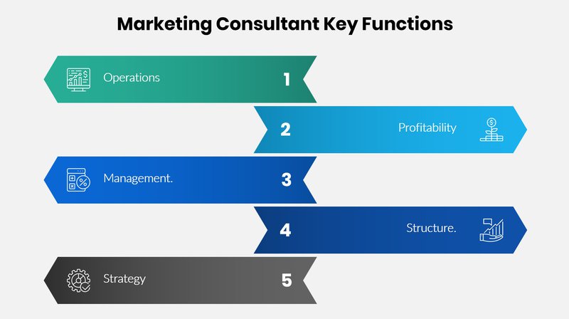 Infográficos mostrando as principais funções do consultor de marketing