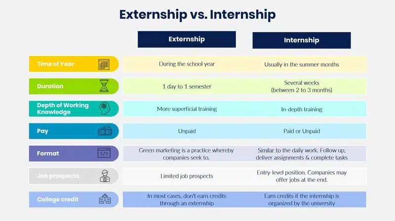 What Is an Externship? The Full Guide