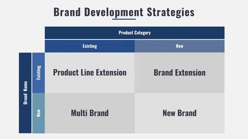 Inforgraphic showing the four types of brand development strategies