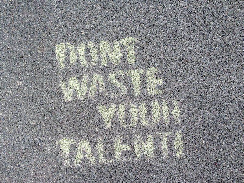 Talent Pool represented by the phrase "don;t waste your talent"